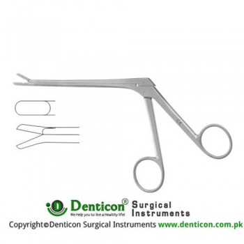 Spurling Leminectomy Rongeur Down Stainless Steel, 20 cm - 8" Bite Size 4 x 10 mm 